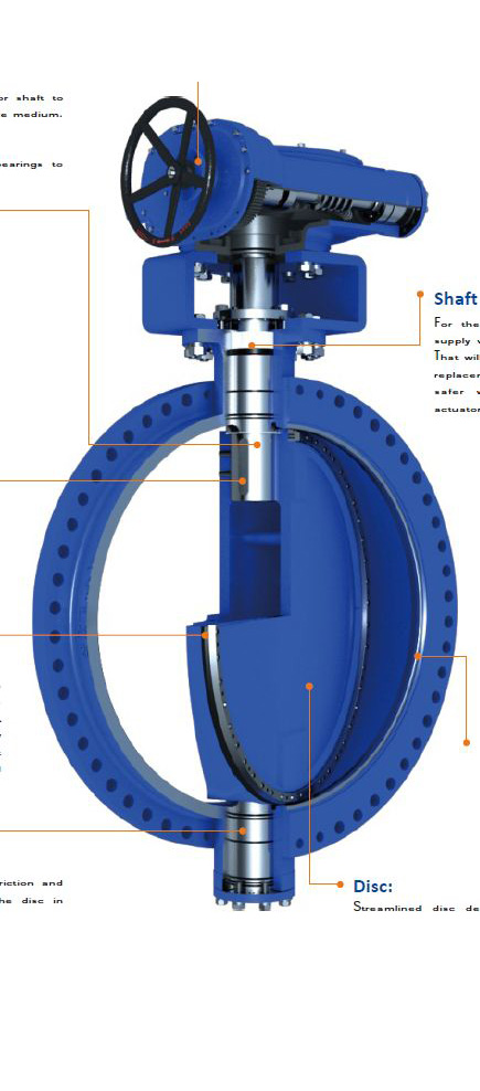 AWWA C504 Butterfly Valve (1)