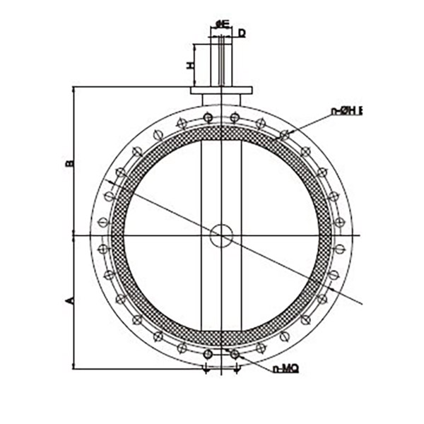 Concentric Butterfly Valve (2)