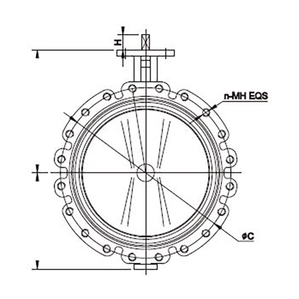 Concentric Butterfly Valve (3)