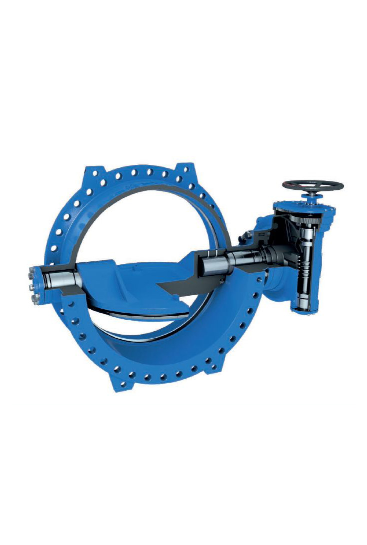 Double Eccentric Butterfly Valve. (2)