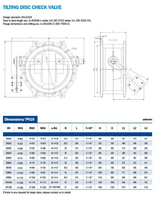 Valv Tcheke Disk Incline (6)